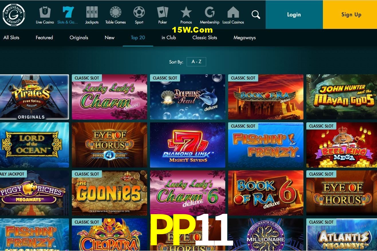 Casino Ao Vivo PP11