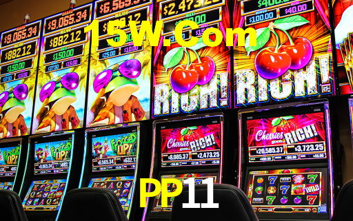 PP11
