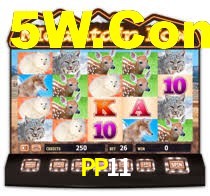 PP11 App